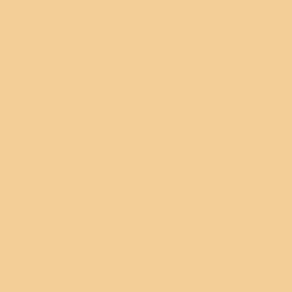 Pigment — efect decorativ aplicat
